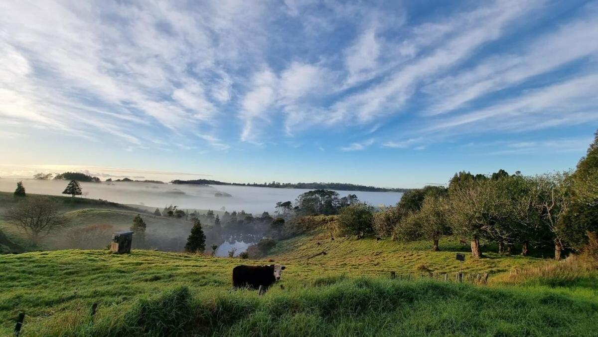 The Kauri Getaway By Tiny Away Villa Waitoki Kültér fotó